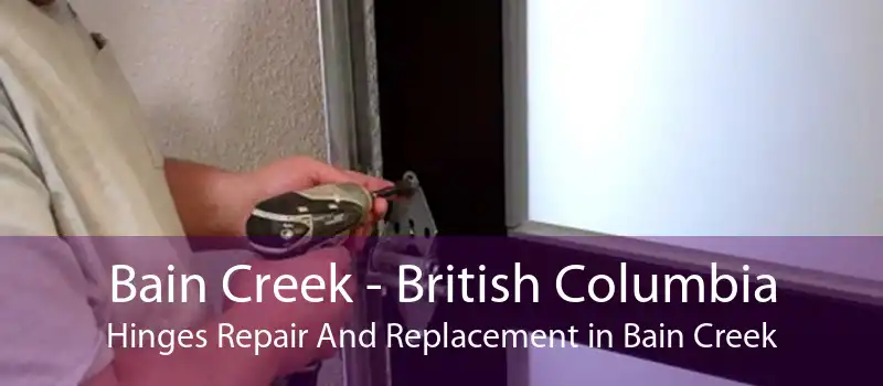 Bain Creek - British Columbia Hinges Repair And Replacement in Bain Creek