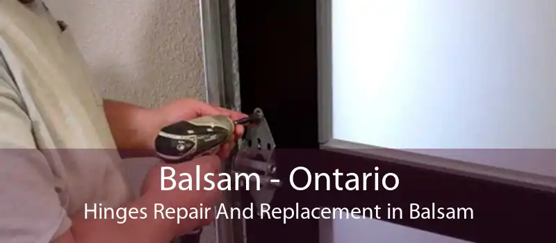 Balsam - Ontario Hinges Repair And Replacement in Balsam