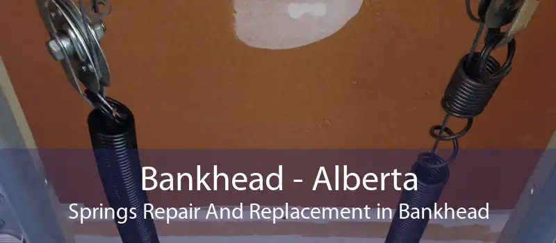 Bankhead - Alberta Springs Repair And Replacement in Bankhead