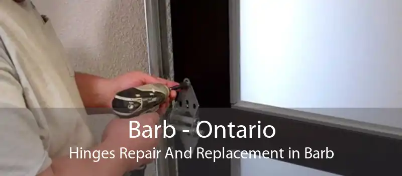 Barb - Ontario Hinges Repair And Replacement in Barb