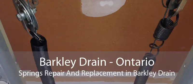 Barkley Drain - Ontario Springs Repair And Replacement in Barkley Drain
