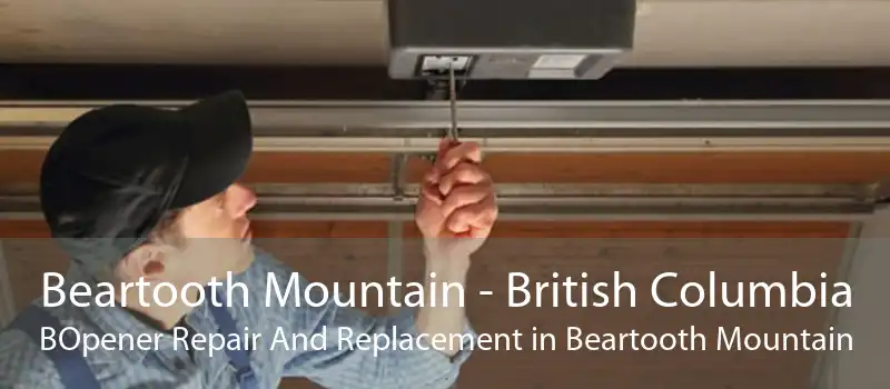 Beartooth Mountain - British Columbia BOpener Repair And Replacement in Beartooth Mountain