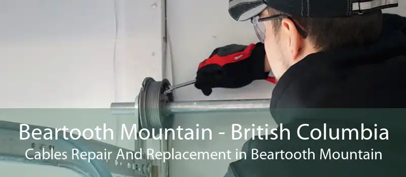 Beartooth Mountain - British Columbia Cables Repair And Replacement in Beartooth Mountain