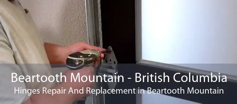 Beartooth Mountain - British Columbia Hinges Repair And Replacement in Beartooth Mountain