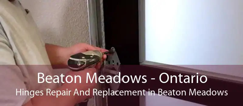 Beaton Meadows - Ontario Hinges Repair And Replacement in Beaton Meadows