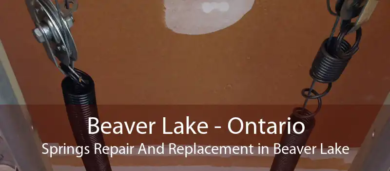 Beaver Lake - Ontario Springs Repair And Replacement in Beaver Lake