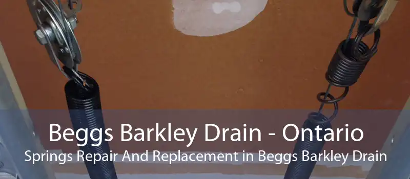 Beggs Barkley Drain - Ontario Springs Repair And Replacement in Beggs Barkley Drain