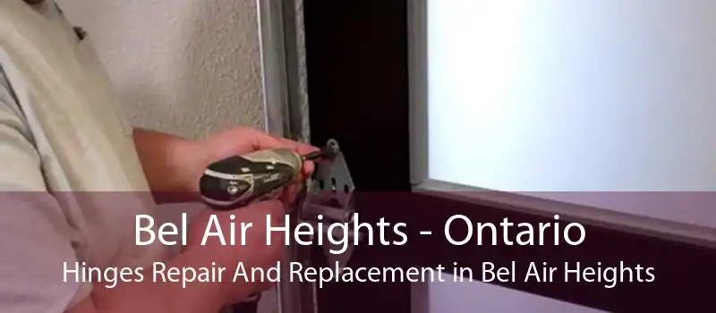 Bel Air Heights - Ontario Hinges Repair And Replacement in Bel Air Heights