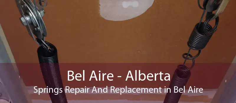 Bel Aire - Alberta Springs Repair And Replacement in Bel Aire