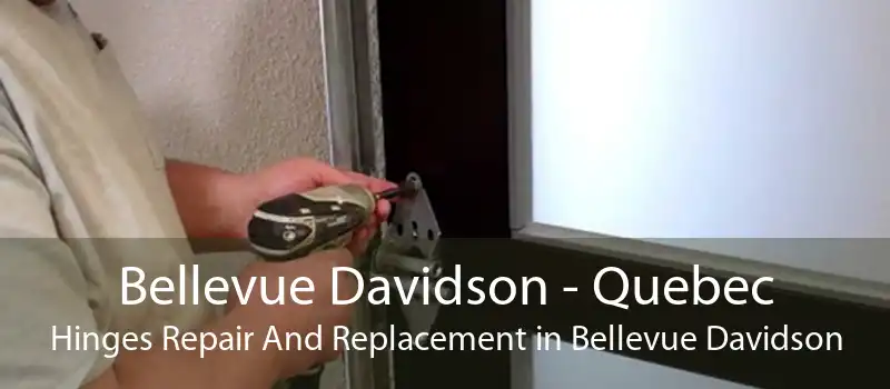 Bellevue Davidson - Quebec Hinges Repair And Replacement in Bellevue Davidson