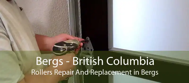 Bergs - British Columbia Rollers Repair And Replacement in Bergs