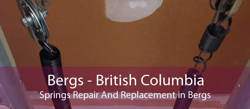 Bergs - British Columbia Springs Repair And Replacement in Bergs