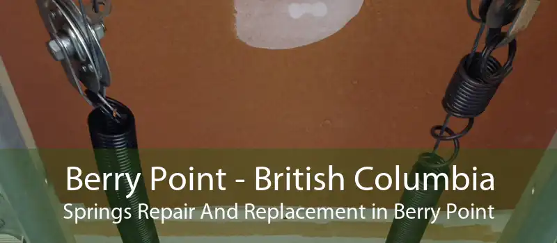 Berry Point - British Columbia Springs Repair And Replacement in Berry Point