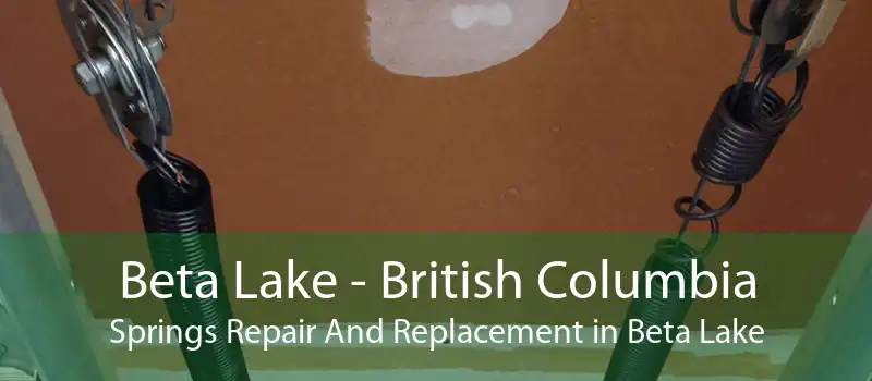 Beta Lake - British Columbia Springs Repair And Replacement in Beta Lake