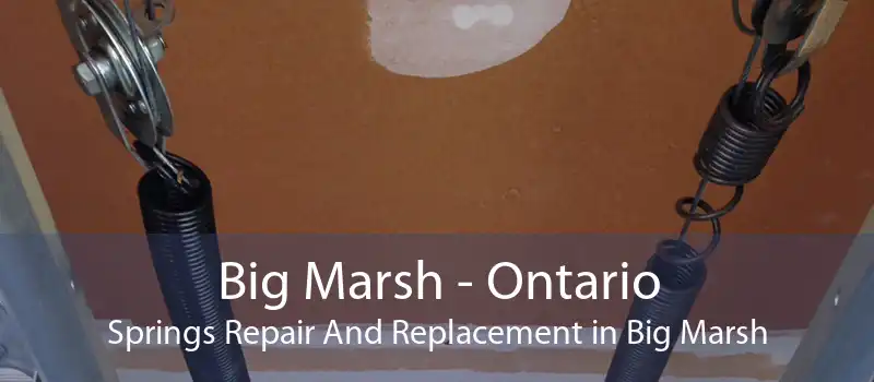Big Marsh - Ontario Springs Repair And Replacement in Big Marsh