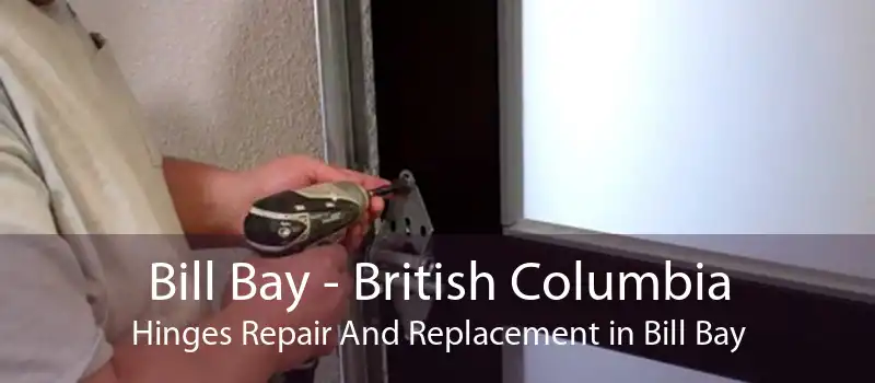 Bill Bay - British Columbia Hinges Repair And Replacement in Bill Bay