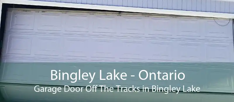 Bingley Lake - Ontario Garage Door Off The Tracks in Bingley Lake