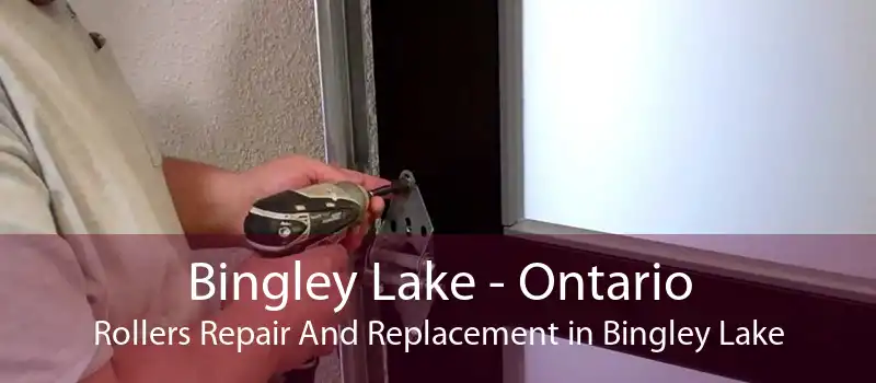 Bingley Lake - Ontario Rollers Repair And Replacement in Bingley Lake