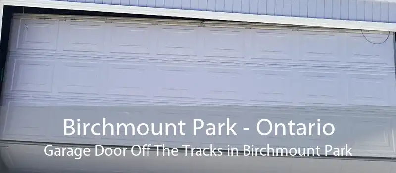 Birchmount Park - Ontario Garage Door Off The Tracks in Birchmount Park