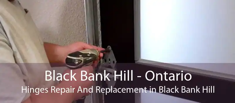 Black Bank Hill - Ontario Hinges Repair And Replacement in Black Bank Hill