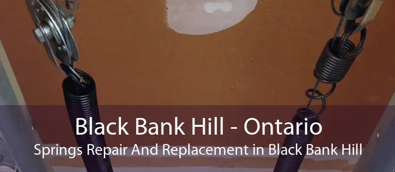 Black Bank Hill - Ontario Springs Repair And Replacement in Black Bank Hill