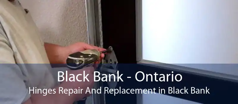 Black Bank - Ontario Hinges Repair And Replacement in Black Bank