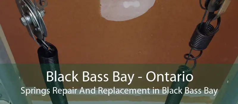 Black Bass Bay - Ontario Springs Repair And Replacement in Black Bass Bay