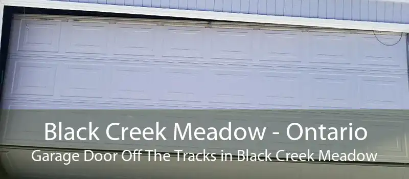 Black Creek Meadow - Ontario Garage Door Off The Tracks in Black Creek Meadow