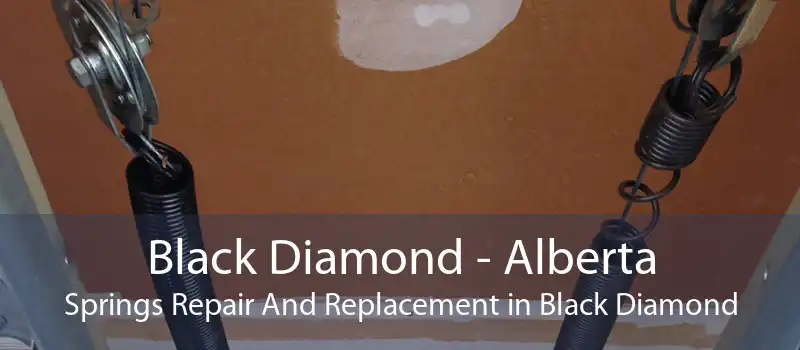 Black Diamond - Alberta Springs Repair And Replacement in Black Diamond