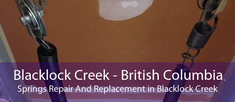 Blacklock Creek - British Columbia Springs Repair And Replacement in Blacklock Creek
