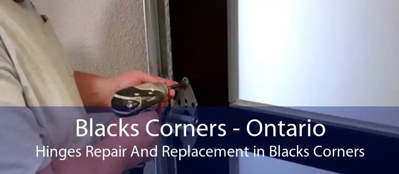 Blacks Corners - Ontario Hinges Repair And Replacement in Blacks Corners