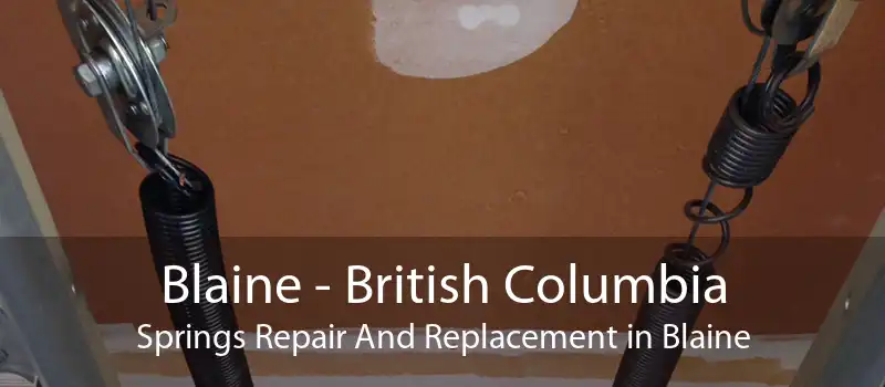 Blaine - British Columbia Springs Repair And Replacement in Blaine