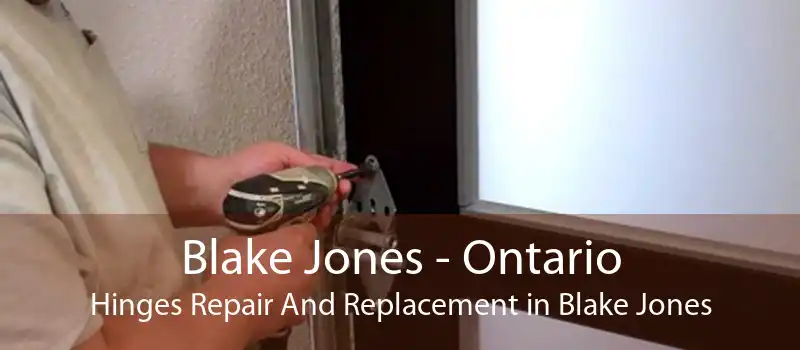 Blake Jones - Ontario Hinges Repair And Replacement in Blake Jones
