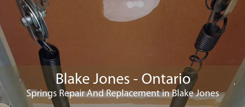 Blake Jones - Ontario Springs Repair And Replacement in Blake Jones