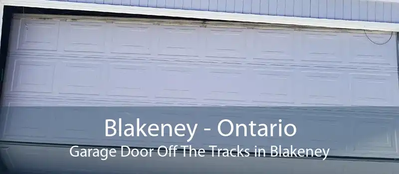 Blakeney - Ontario Garage Door Off The Tracks in Blakeney