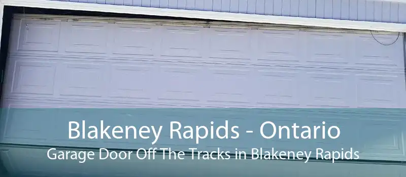 Blakeney Rapids - Ontario Garage Door Off The Tracks in Blakeney Rapids
