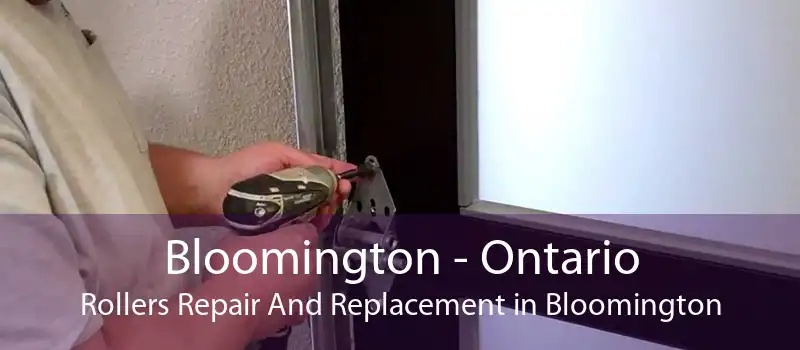 Bloomington - Ontario Rollers Repair And Replacement in Bloomington