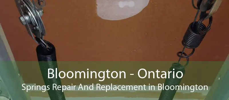 Bloomington - Ontario Springs Repair And Replacement in Bloomington
