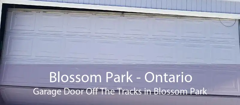 Blossom Park - Ontario Garage Door Off The Tracks in Blossom Park