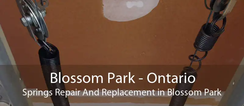 Blossom Park - Ontario Springs Repair And Replacement in Blossom Park