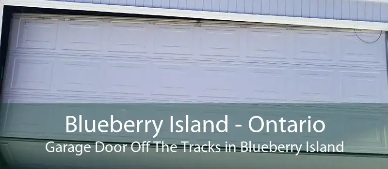 Blueberry Island - Ontario Garage Door Off The Tracks in Blueberry Island