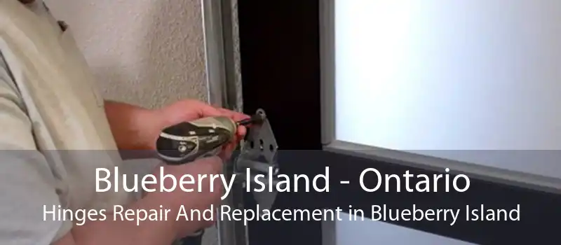 Blueberry Island - Ontario Hinges Repair And Replacement in Blueberry Island