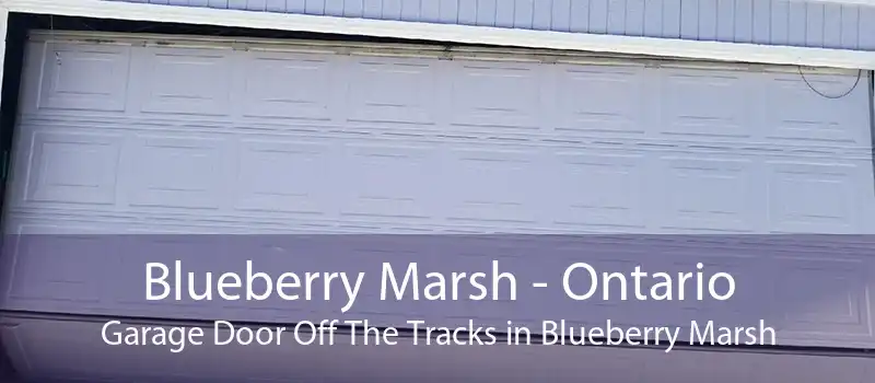 Blueberry Marsh - Ontario Garage Door Off The Tracks in Blueberry Marsh