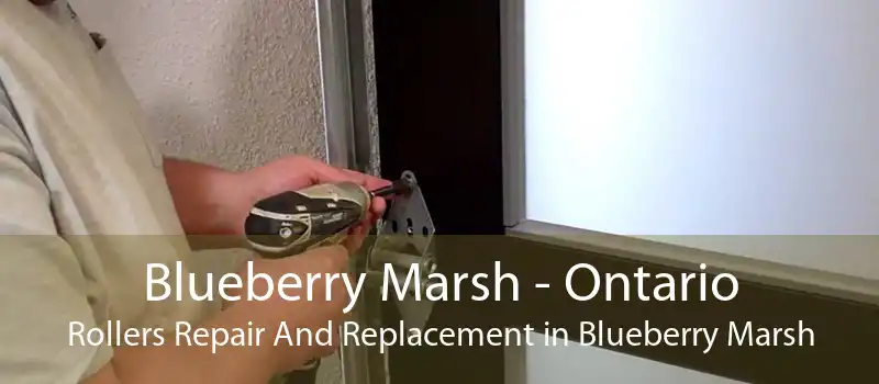 Blueberry Marsh - Ontario Rollers Repair And Replacement in Blueberry Marsh