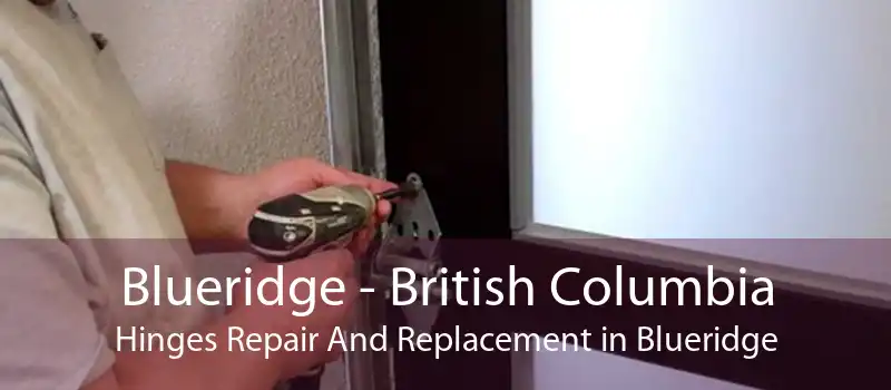 Blueridge - British Columbia Hinges Repair And Replacement in Blueridge