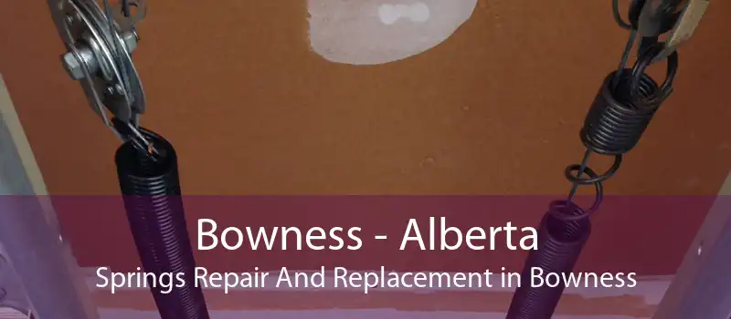 Bowness - Alberta Springs Repair And Replacement in Bowness