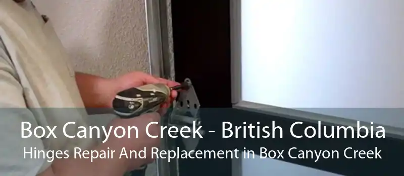 Box Canyon Creek - British Columbia Hinges Repair And Replacement in Box Canyon Creek