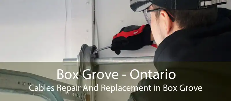 Box Grove - Ontario Cables Repair And Replacement in Box Grove