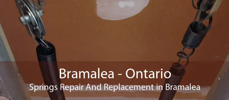 Bramalea - Ontario Springs Repair And Replacement in Bramalea