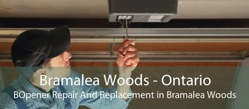 Bramalea Woods - Ontario BOpener Repair And Replacement in Bramalea Woods